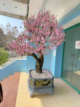 VIWASUPCO tổ chức buổi Gặp mặt đầu xuân Quý Mão 2023 và phát động Tết trồng cây